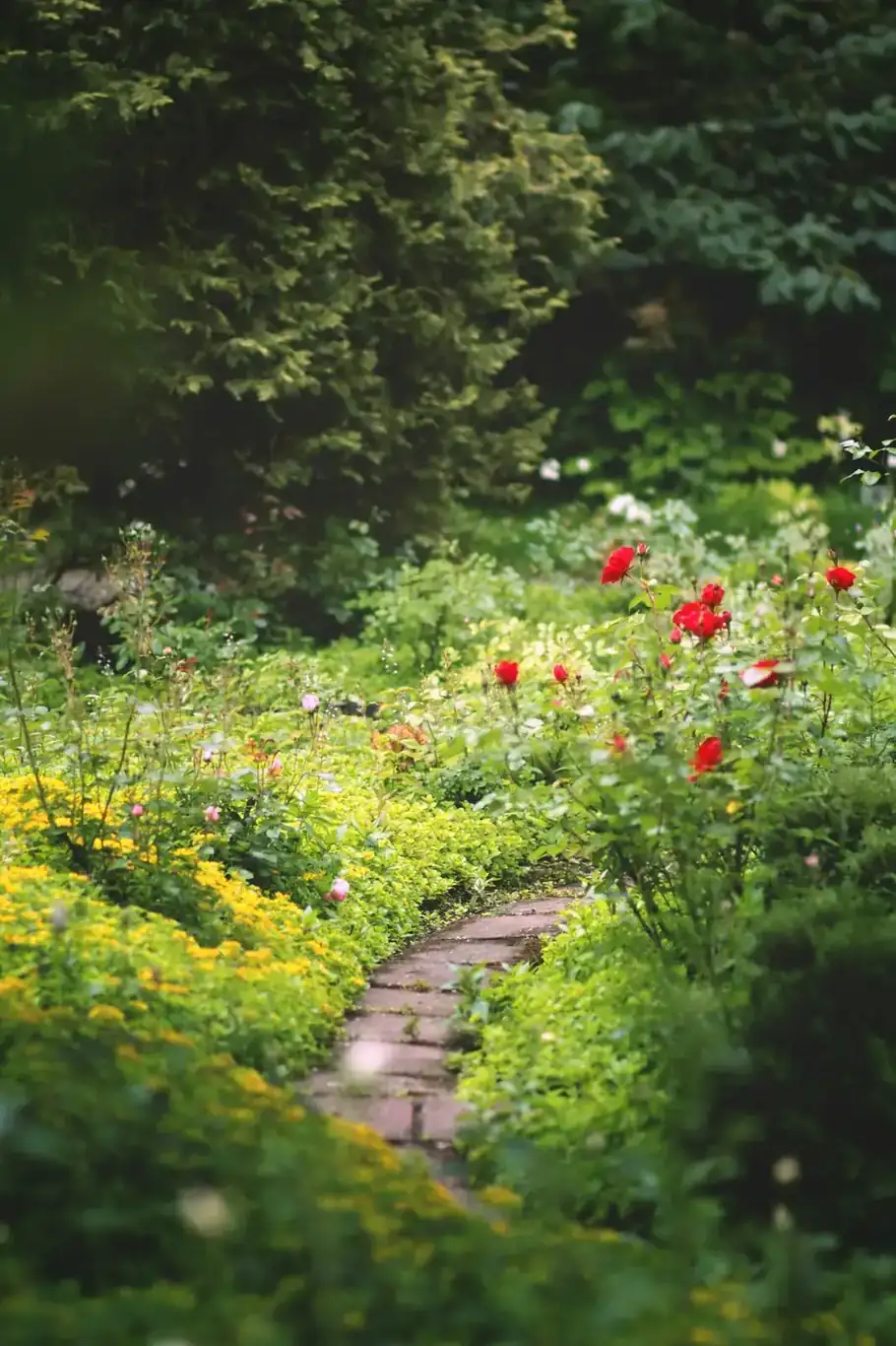 Sfeervolle tuin aangelegd door GS Gardens, hovenier in Nieuw-Vennep