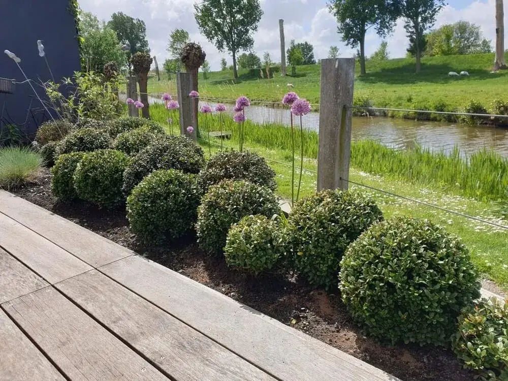 Beplanting & onderhoud door hovenier GS Gardens in Nieuw-Vennep