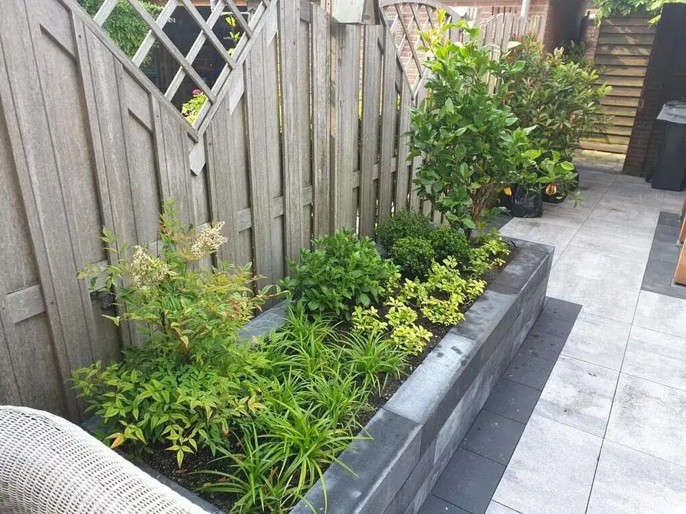 Beplanting & onderhoud door GS Gardens in Nieuw-Vennep — voorbeeld 5